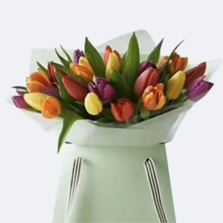 Multicolored tulip bouquet Gift bag 1 Tulip Bouquet Gift Bag featuring a vibrant multicoloured assortment, presented in an elegant carrying bag for gifting.