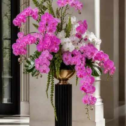 Orchid Arrangements