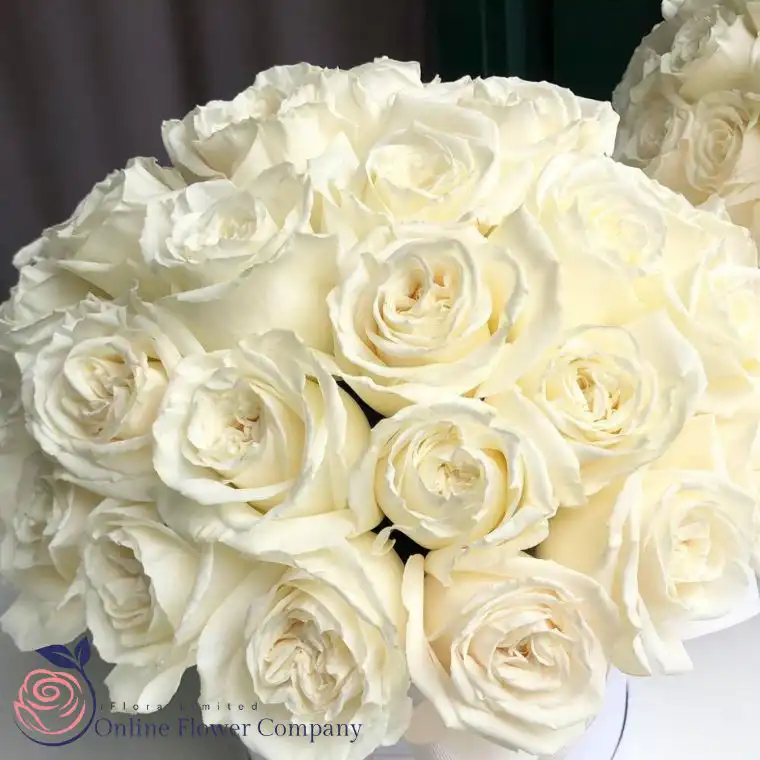 The Luxe White Rose Hat Box 3 White Roses in a Box