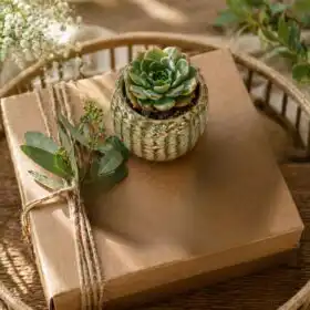 Gift Set with Succulent and Candle
