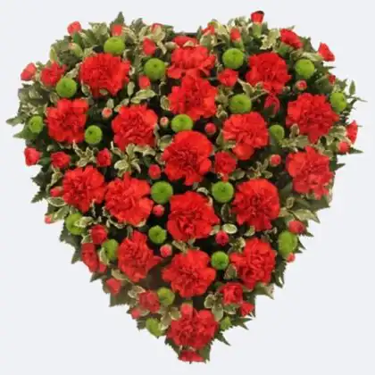 Fresh red heart funeral flowers handcrafted with carnations and green mums for a memorial service tribute.
