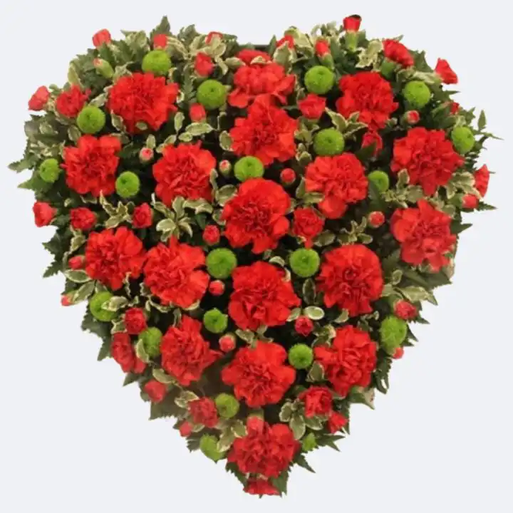Red Carnation Heart Funeral Tribute 1 Fresh red heart funeral flowers handcrafted with carnations and green mums for a memorial service tribute.