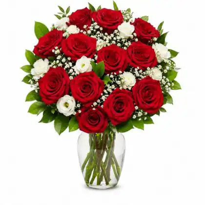 Dozen Of Red Roses