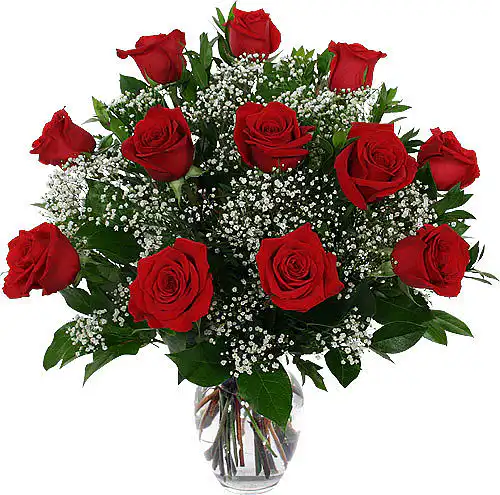 Classic Dozen Red Roses with Baby's Breath 2 Classic Dozen Red Roses with Baby's Breath - Image 2