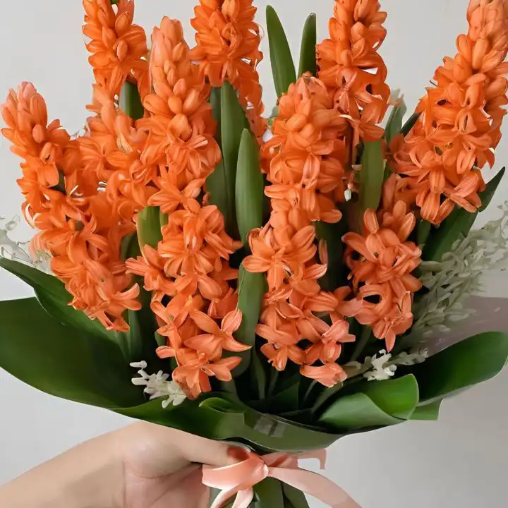 Orange Hyacinth flowers bouquet 4 Orange Hyacinth Mother's Day Bouquet - Beautiful, Fragrant Flowers Delivered Fresh