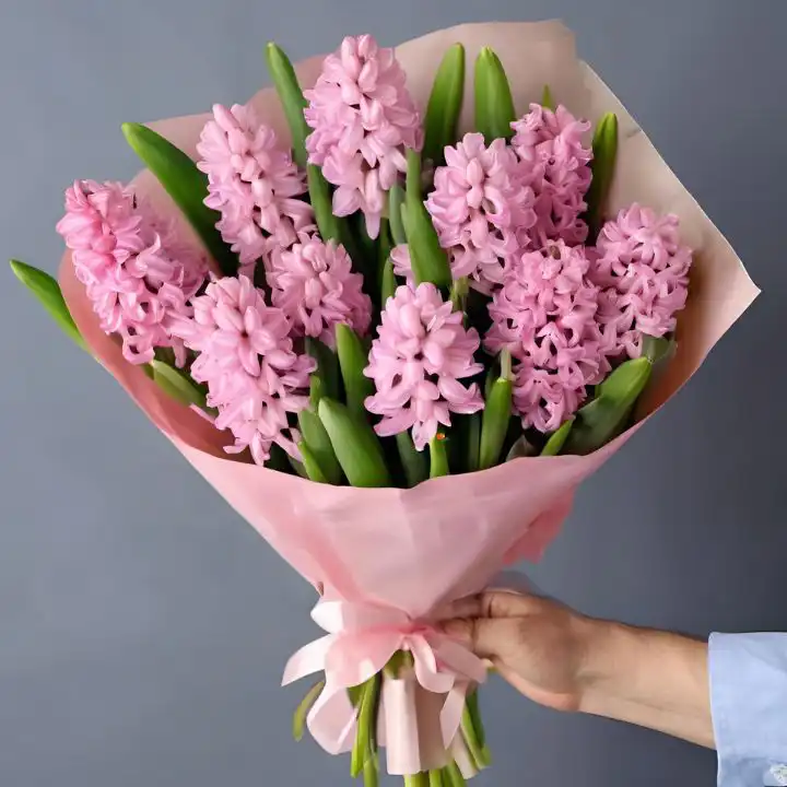 Pink Hyacinth flowers Bouquet 2 Beautiful Pink Hyacinth Flowers Bouquet for Mother’s Day – Fresh & Elegant UK Delivery