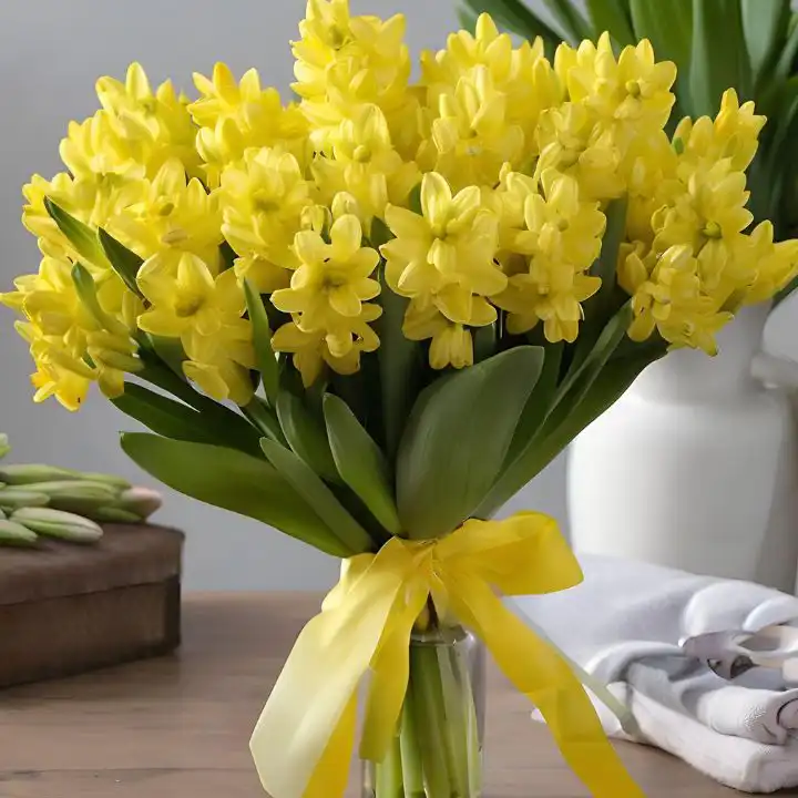 Yellow Hyacinth flowers delivery 1 Yellow Hyacinth Mother’s Day Flowers Delivery – Fresh & Vibrant Bouquet