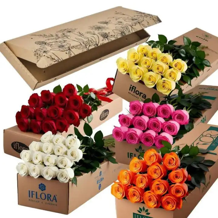 Special Valentine’s Combo – 12 Roses + Free Large Chocolate Box & Free Heart Balloon 7 Hand-arranged 12 red roses bouquet with green foliage presented in a classic cardboard gift box.