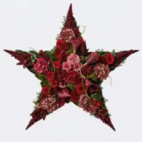 Star Pillow Eternal Roses Tribute