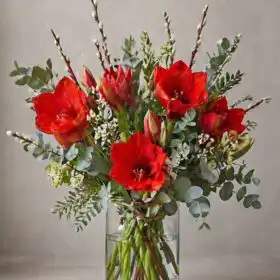 Red amaryllis flowers Bouquet with vase
