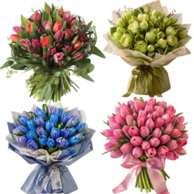 All Types of Tulip Bouquets